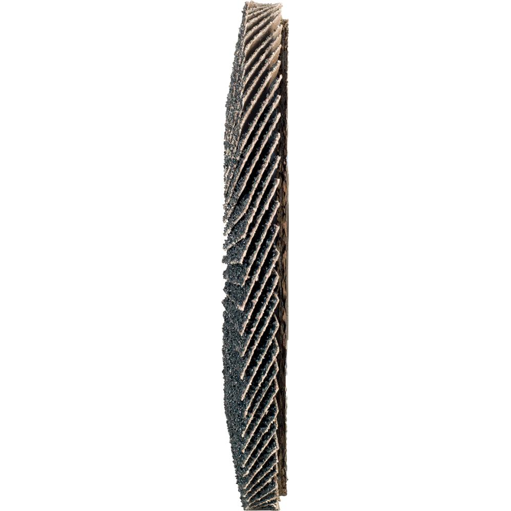 Fächerschleifscheibe 125mm, gerade, ZK 60 FORUM