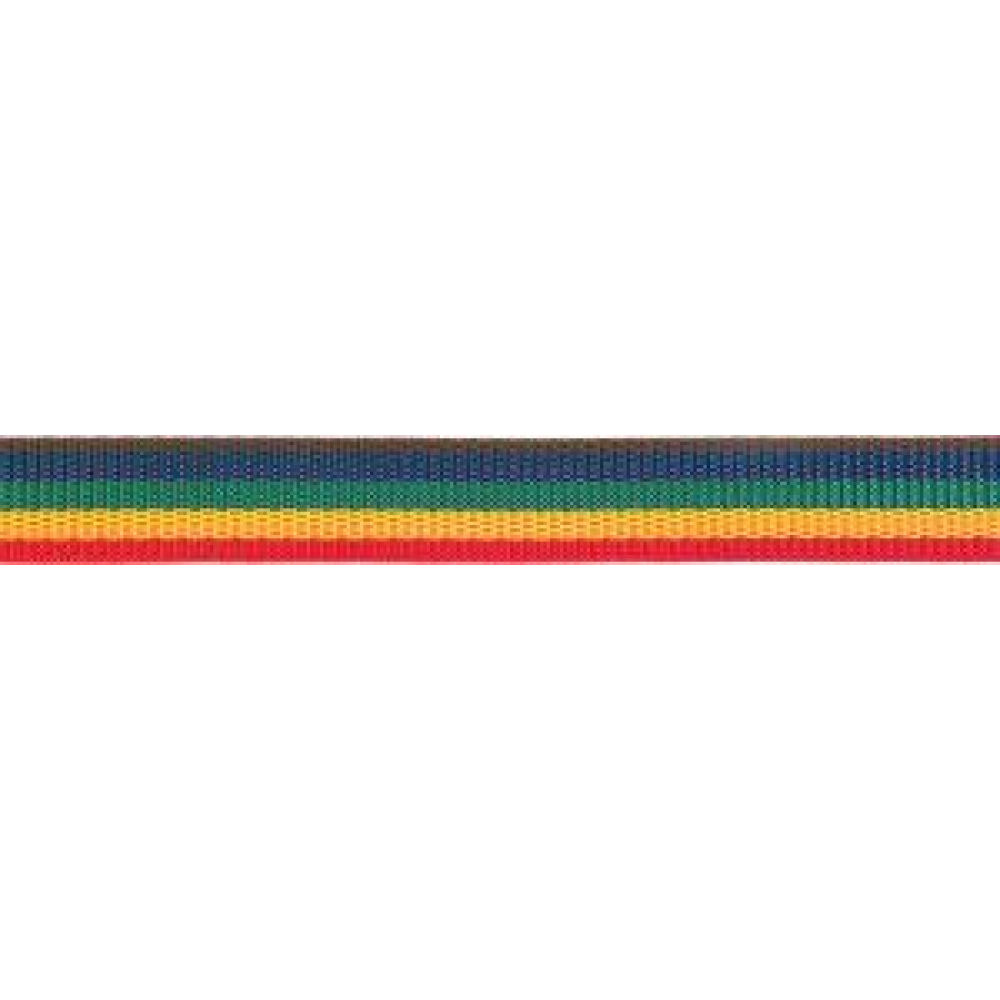 Gurtband 25,0mm mehrfarbig PÖSAMO Ro.100m (250x110)