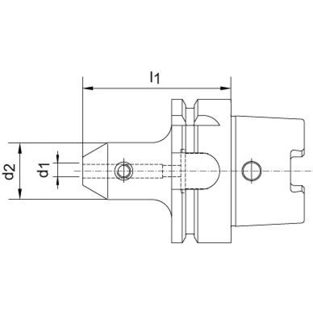 Flächenspannfutter Weldon DIN69893A HSK-A63 20x120mm FORTIS
