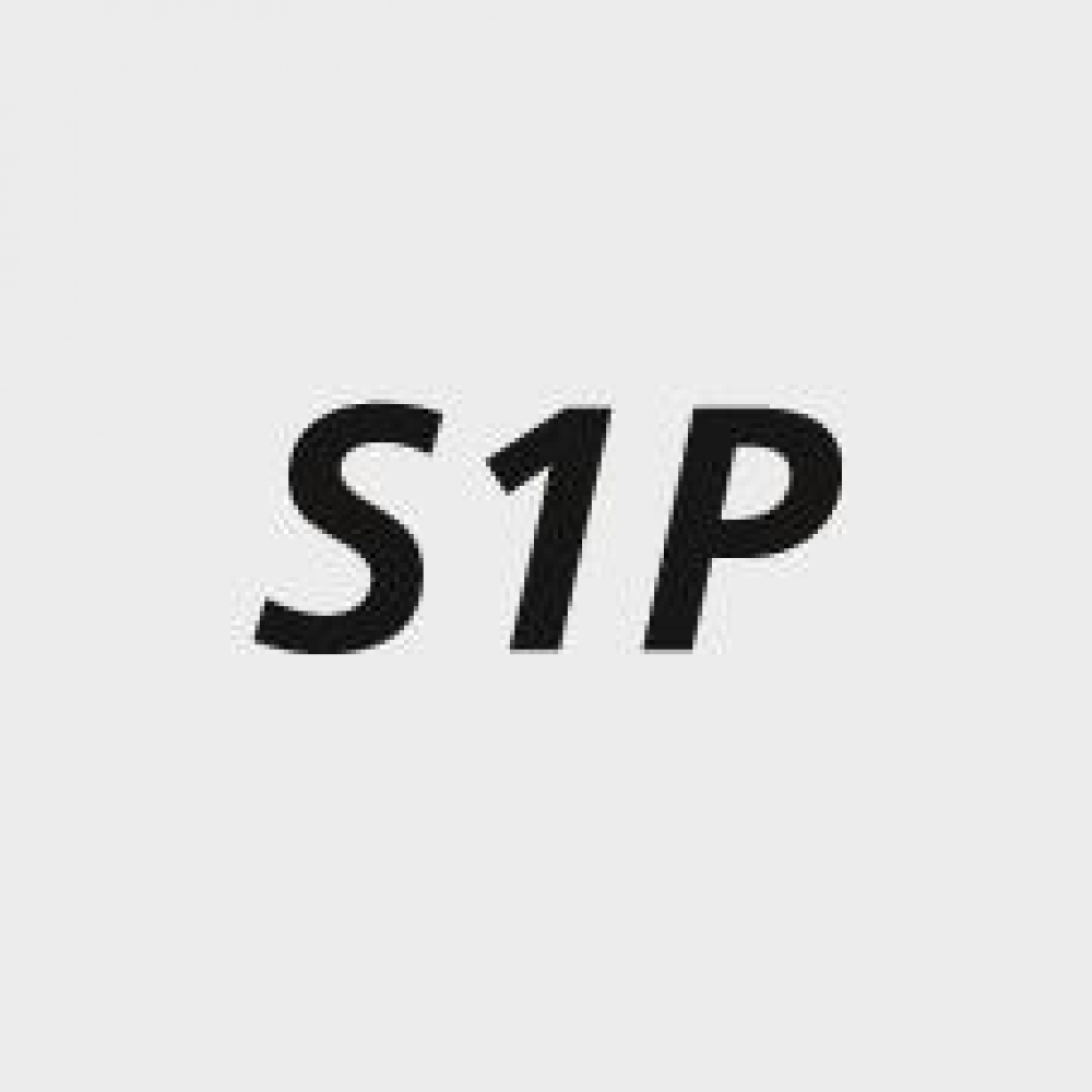 Sicherheitssandale 74112 Rico2, S1P SRC ESD Sandale Gr 46