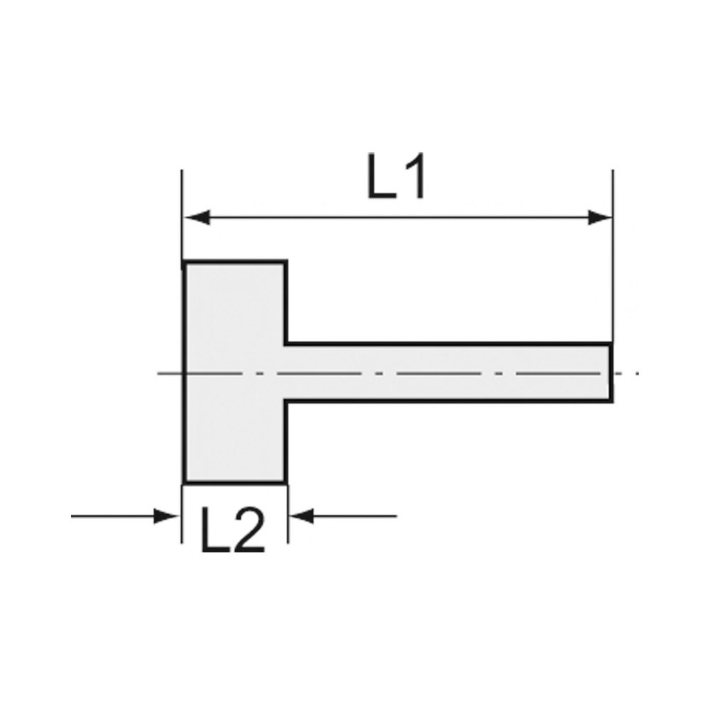 Aufschraubschlauchtülle, zylindrisch Messing IG, G1/8 LW", 4 SW 14mm RIEGLER