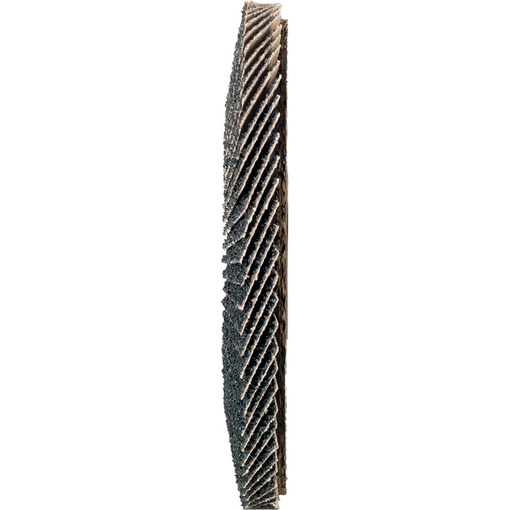Fächerschleifscheibe 115mm, gewölbt, ZK 80 FORUM