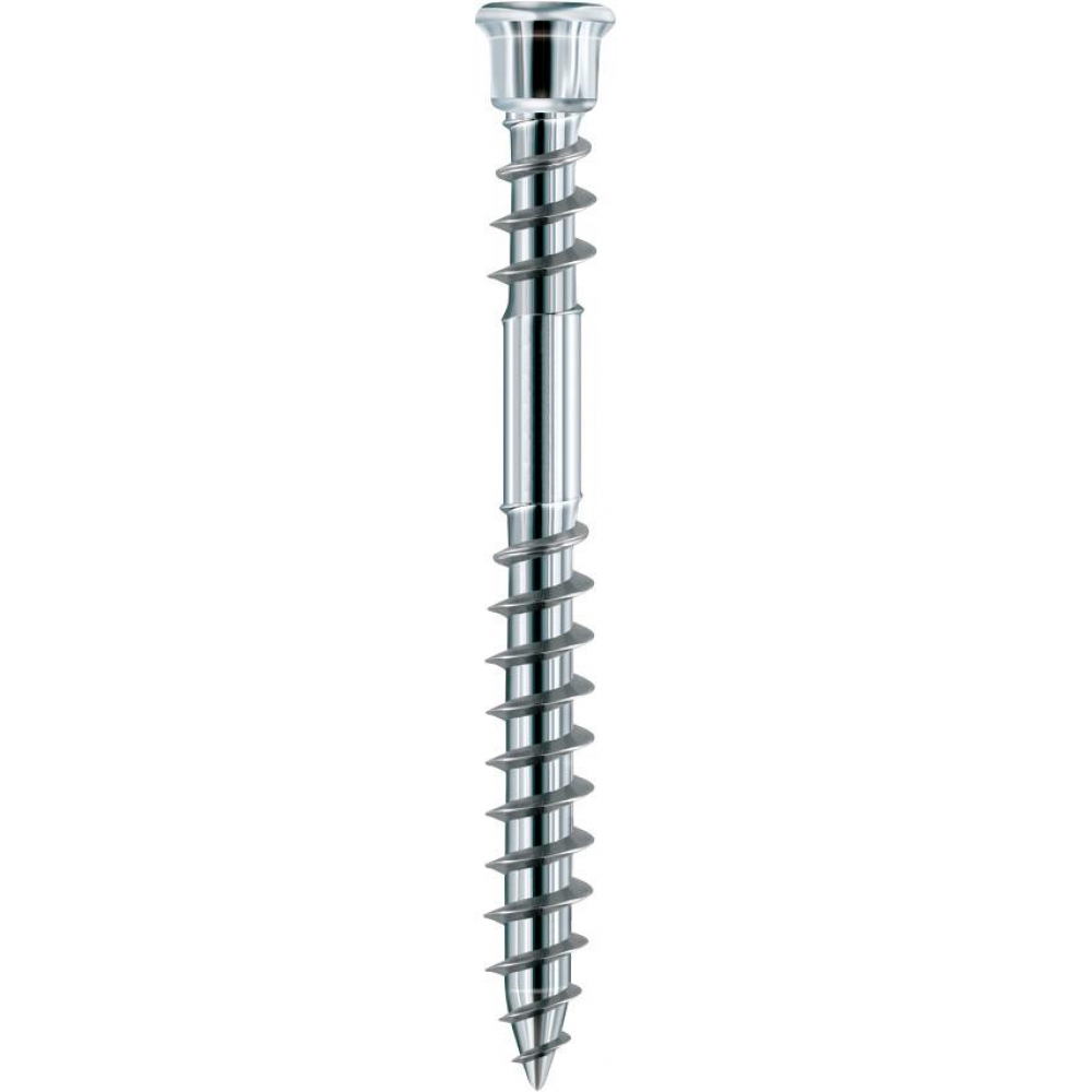 Schraube 5,5x50mm DIN 10088 gehärtet Edelstahl Terrassotec T25