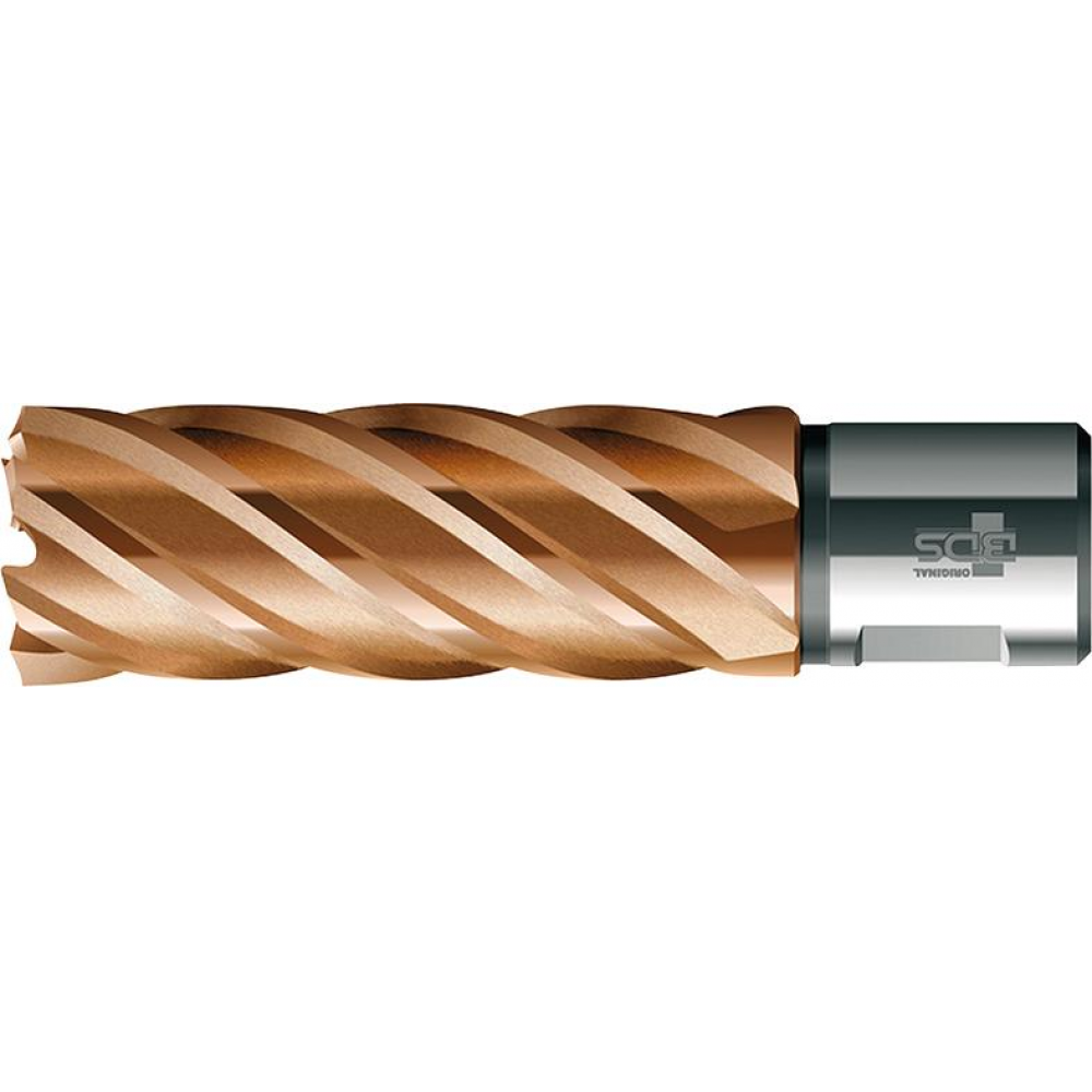Kernbohrer - Vario PLUS VARIOPlus lang KBI HSS Schaft Weldon 17/50mm BDS